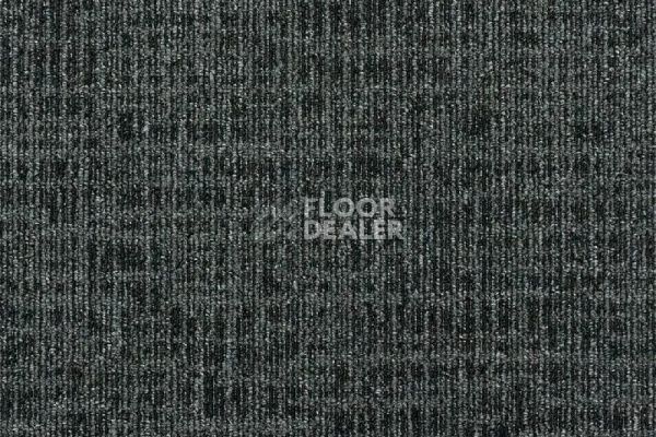 Ковровая плитка Balanced Hues на акустической основе ECHO ACOUSTIC 989 фото 1 | FLOORDEALER